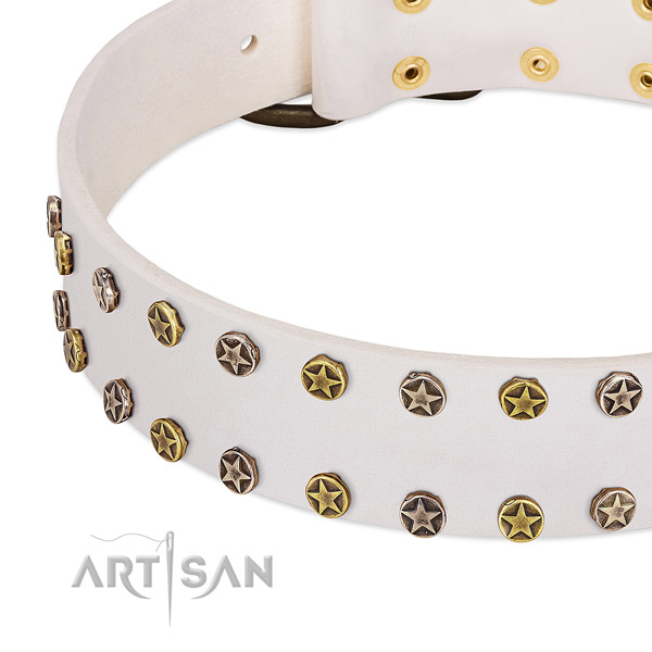 Extraordinary adornments on genuine leather collar for your canine