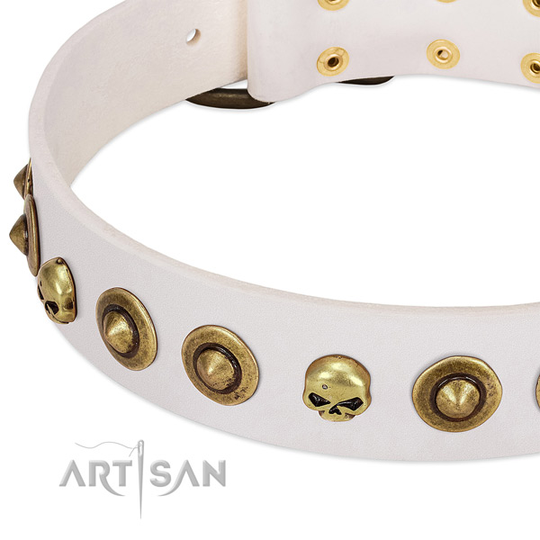 Top notch studs on genuine leather collar for your dog
