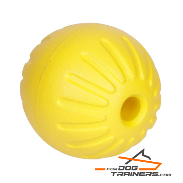 Resistant ball for Dog teeth 