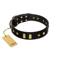 "De Luxe" FDT Artisan Black Leather Belgian Malinois Collar with Old Bronze-like Plates and Studs