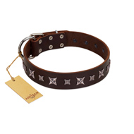 "Stellar Fairy " FDT Artisan Brown Leather Belgian Malinois Collar with Chrome-plated Star-like Decorations