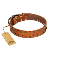 "Walk and Shine" FDT Artisan Tan Leather Belgian Malinois Collar with Antiqued Studs