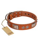 "Pawsy Glossy" FDT Artisan Exclusive Tan Leather Belgian Malinois Collar 1 1/2 inch (40 mm) wide