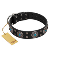 "Boundless Blue" FDT Artisan Black Leather Belgian Malinois Collar with Chrome Plated Brooches and Square Studs