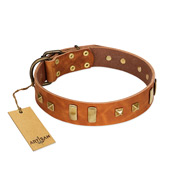 "Sand of Time" FDT Artisan Tan Leather Belgian Malinois Collar with Old Bronze-like Studs and Plates