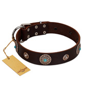 "Magic Stones" FDT Artisan Brown Leather Belgian Malinois Collar with Chrome Plated Brooches and Studs