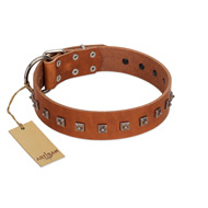 "Guard of Honour " Designer FDT Artisan Tan Leather Belgian Malinois Collar with Small Dotted Pyramids