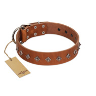 "Broadway" Handmade FDT Artisan Tan Leather Belgian Malinois Collar with Dotted Pyramids