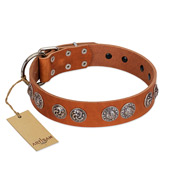 "Woofy Majesty" FDT Artisan Tan Leather Belgian Malinois Collar with Round Silver-like Plates