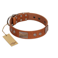 "Great Obelisk" Handcrafted FDT Artisan Tan Leather Belgian Malinois Collar with Large Plates and Pyramids