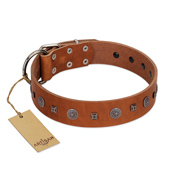 "Sweet Caramel" Designer FDT Artisan Tan Leather Belgian Malinois Collar