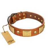 "Mutt The Daredevil" FDT Artisan Tan Leather Belgian Malinois Collar with Old Bronze-like Skulls and Plates