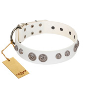 "Celtic Warrior" Handmade FDT Artisan White Leather Belgian Malinois Collar with Vintage Decorations "Celtic Warrior" Handmade FDT Artisan White Leather Belgian Malinois Collar with Vintage Decorations