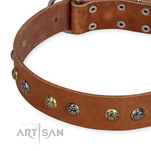 Full grain natural leather dog collar with impressive corrosion resistant embellishments