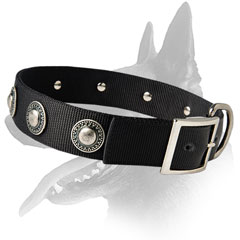 Excellent Malinois Nylon Collar For Walking