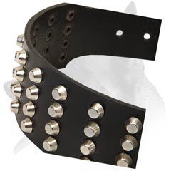 Extra wide Malinois Leather Dog Collar