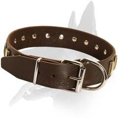 Belgian Malinois Leather Dog Collar with plates