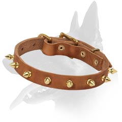 Fancy Malinois Leather Dog Collar