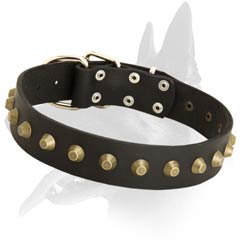 Stylish Malinois Leather Dog Collar