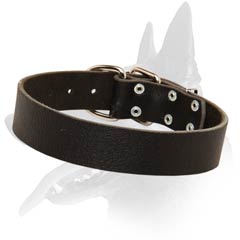 Hand made Malinois Leather Collar