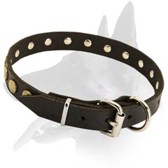 Attractive Malinois Leather Dog Collar