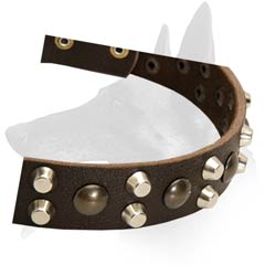 Comfy Malinois Leather Dog Collar