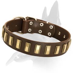 Elegant Malinois Leather Dog Collar