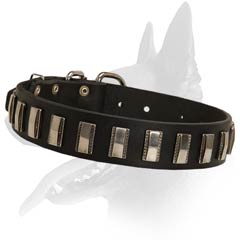 Decorated Malinois Leather Dog Collar