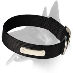 Practical Malinois Nylon Dog Collar