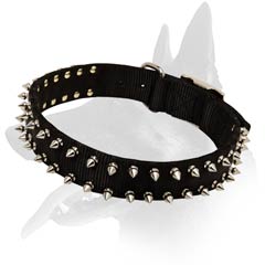 Belgian Malinois Nylon Dog Collar with spikes