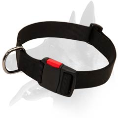 Timeproof Malinois Nylon Dog Collar