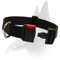 Belgian Malinois Nylon Dog Collar