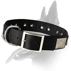 Belgian Malinois Collar with D-ring