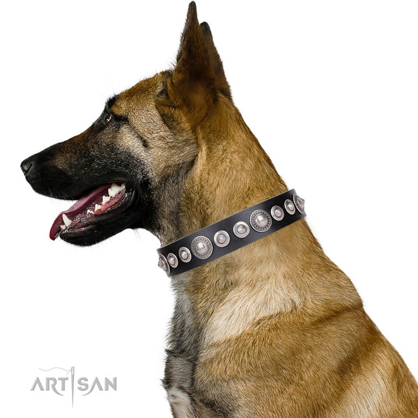 Exquisite embellished genuine leather dog collar for walking