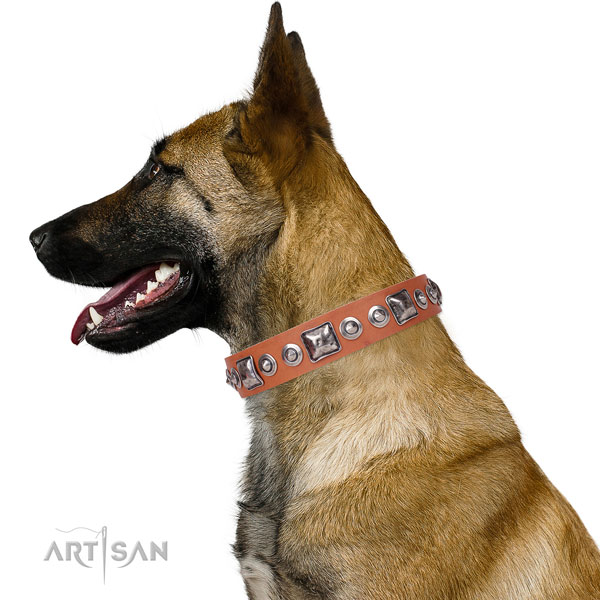 Trendy decorated genuine leather dog collar for stylish walking