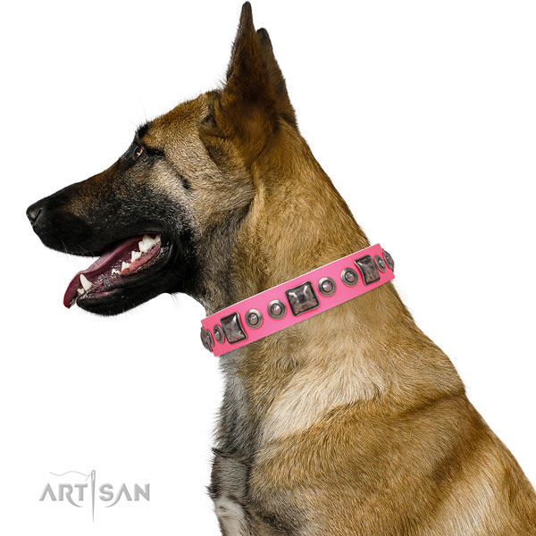 Exquisite adorned natural leather dog collar
