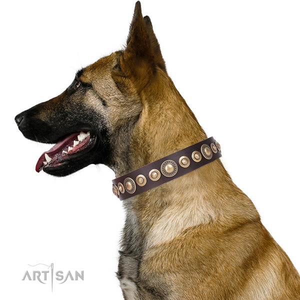 Designer embellished natural leather dog collar