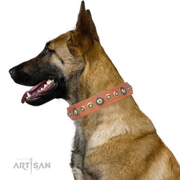 Durable buckle and D-ring on natural leather dog collar for everyday use