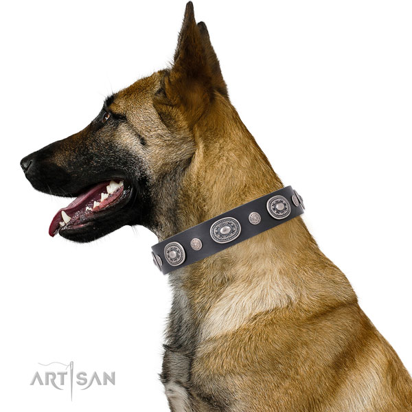 Strong buckle and D-ring on leather dog collar for everyday walking