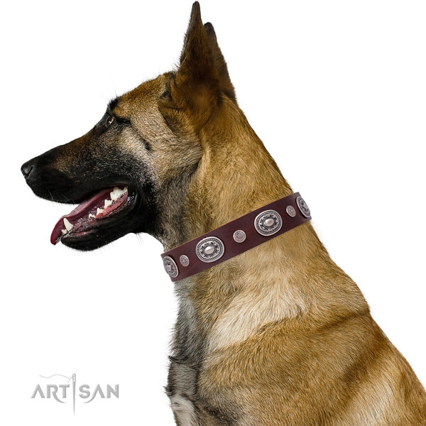 Rust-proof buckle and D-ring on natural leather dog collar for daily use