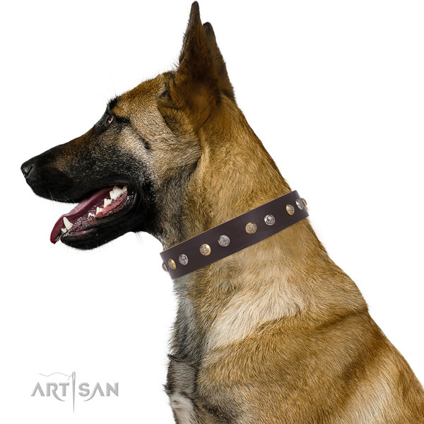 Full grain leather dog collar with corrosion resistant buckle and D-ring for everyday walking