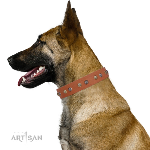 Genuine leather dog collar with corrosion proof buckle and D-ring for daily use