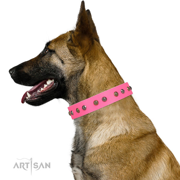 Walking embellished dog collar made of best quality leather