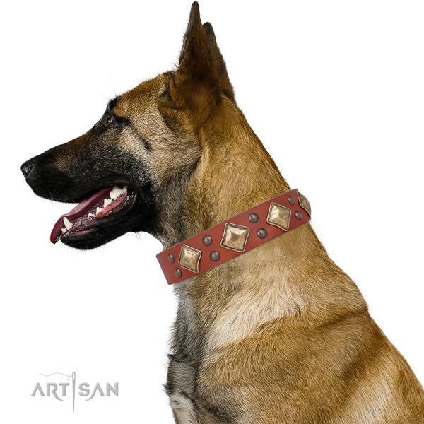 Comfy wearing studded dog collar made of strong natural leather