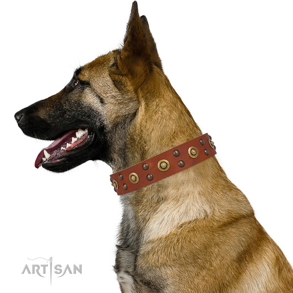 Basic training dog collar with incredible studs