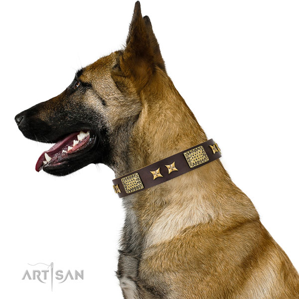 Fancy walking dog collar with trendy adornments