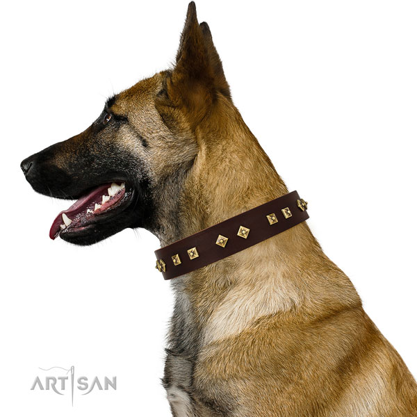 Top notch decorations on handy use leather dog collar