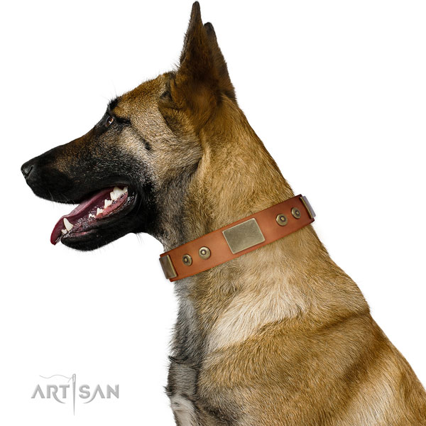 Best quality everyday walking dog collar of natural leather