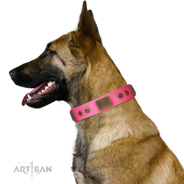 Easy to adjust full grain natural leather collar for your handsome pet