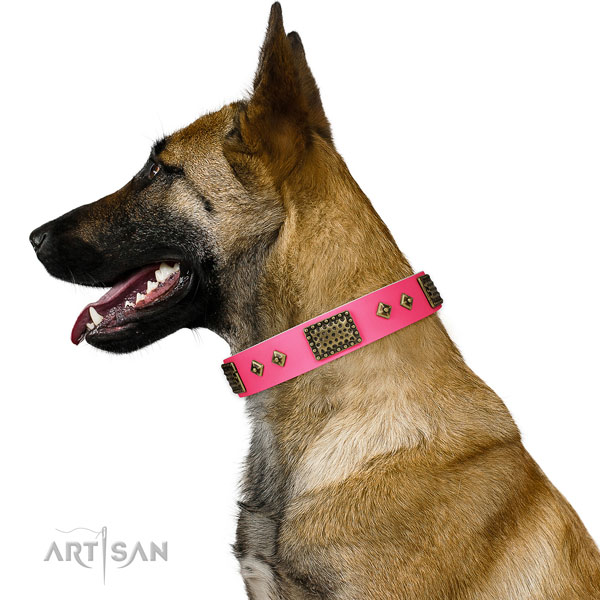 Significant full grain leather collar for your beautiful doggie